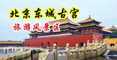 欧美大胆淫妇中国北京-东城古宫旅游风景区